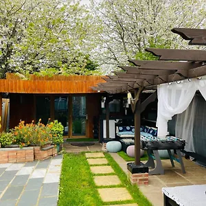 Guest house Tropical Style House Near Centre, Newcastle upon Tyne